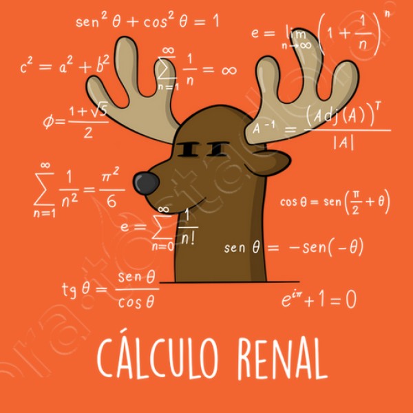 Calculo Renal