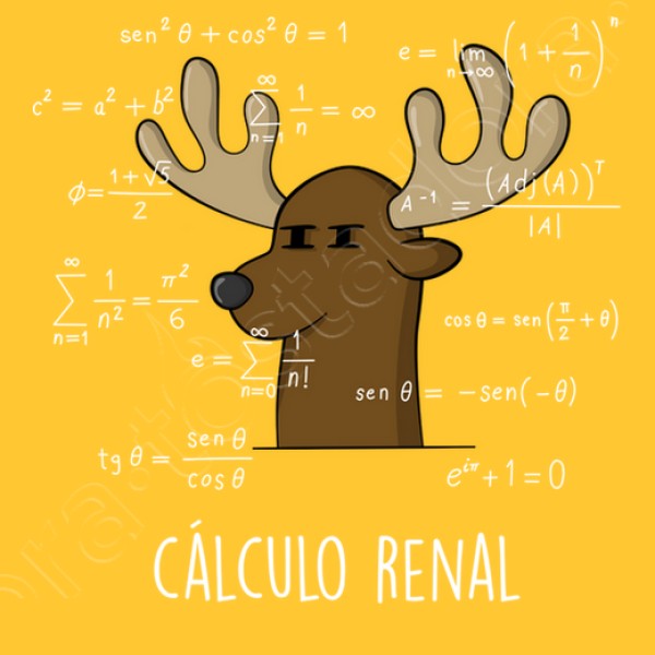 Calculo Renal
