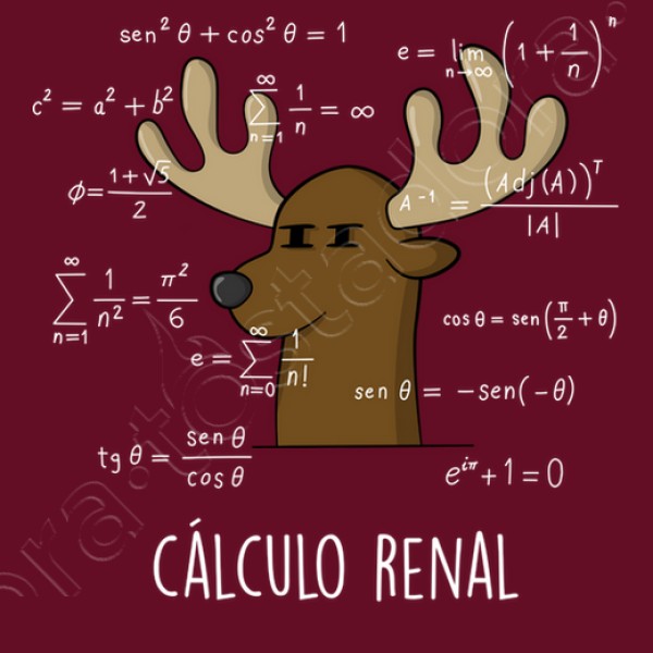 Calculo Renal
