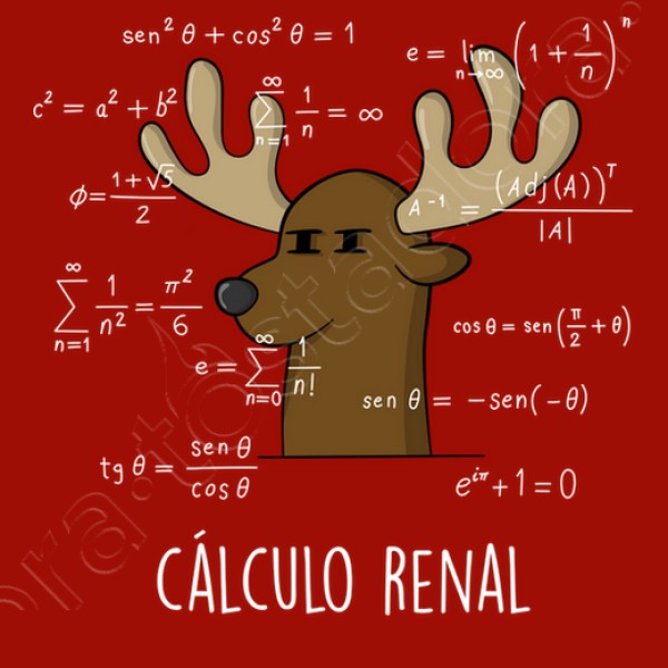 Calculo Renal