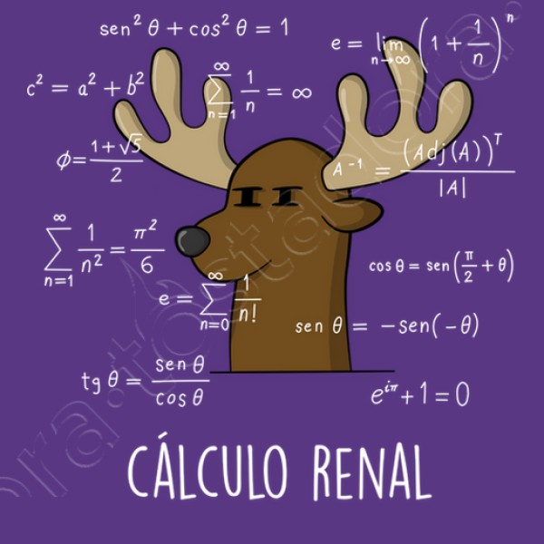 Calculo Renal