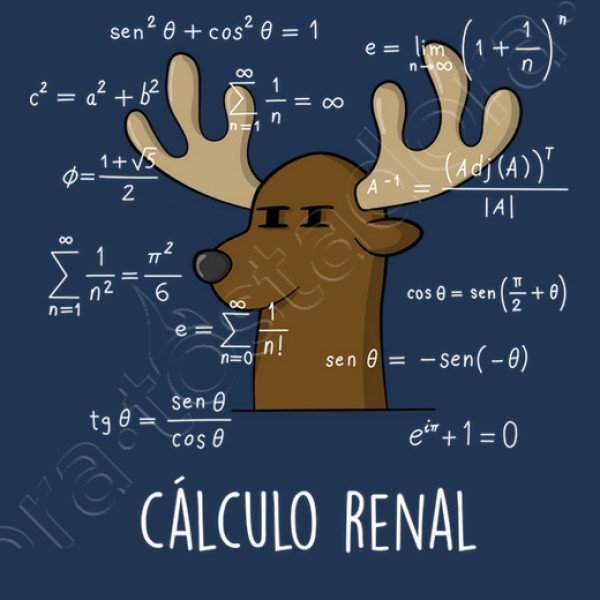 Calculo Renal