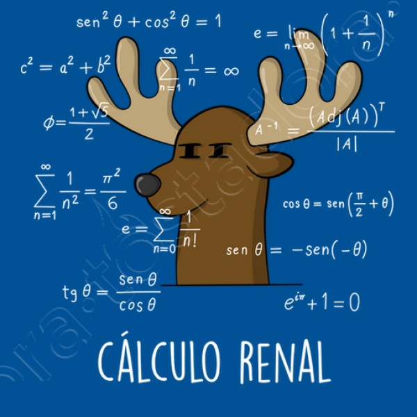 Calculo Renal