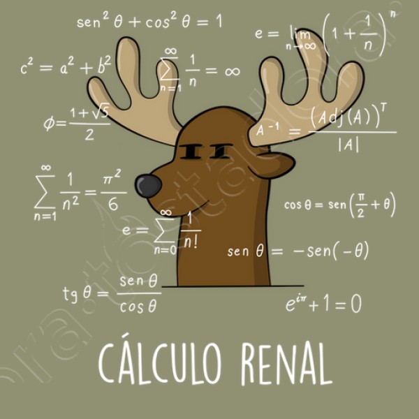 Calculo Renal