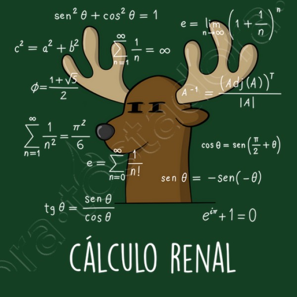 Calculo Renal