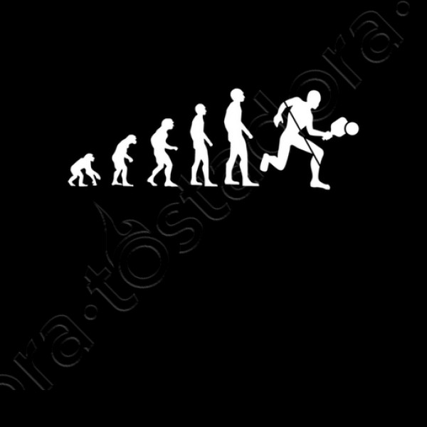 evoluciu00f3n del humor padel padel