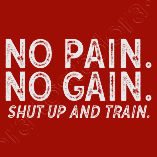 No Pain No Gain