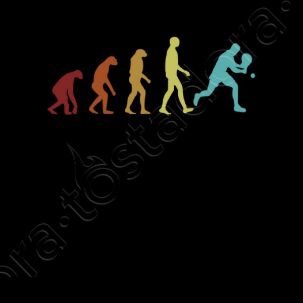 Pu00e1del evoluciu00f3n plataforma tenis playa