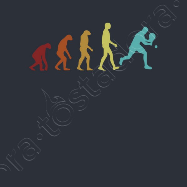 Pu00e1del evoluciu00f3n plataforma tenis playa