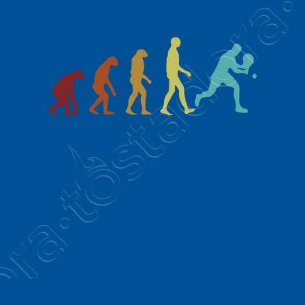 Pu00e1del evoluciu00f3n plataforma tenis playa