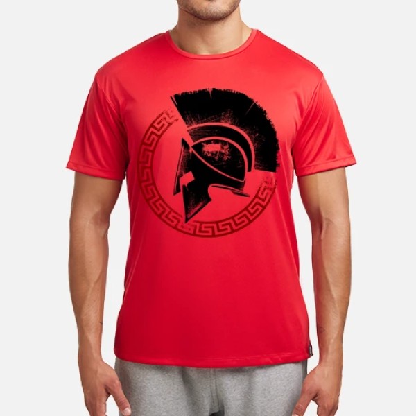 Spartan 17