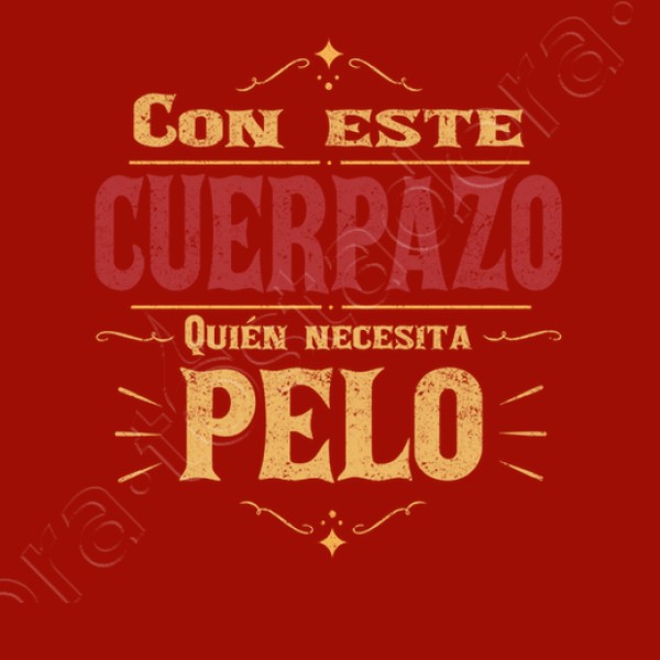 Regalo para calvos gracioso divertido