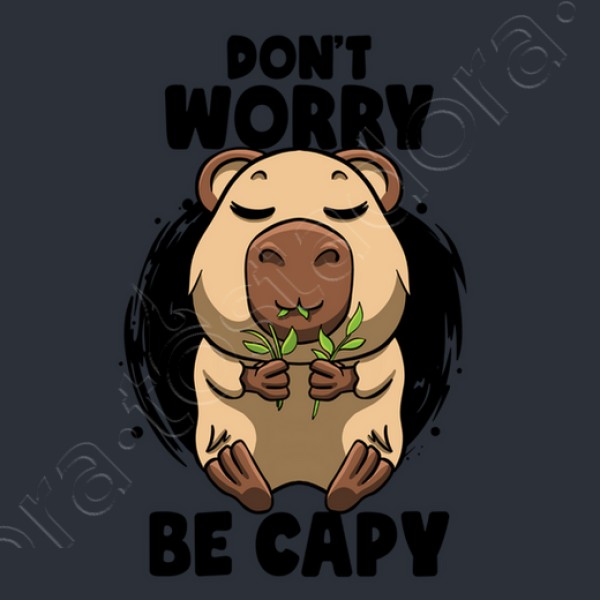 no te preocupes su00e9 carpincho carpincho