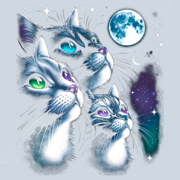 Gatos a La Luz de la Luna Llena Gatitos