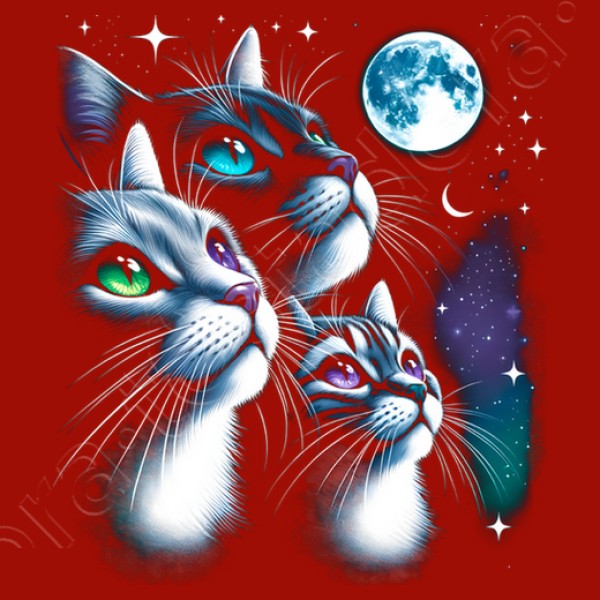 Gatos a La Luz de la Luna Llena Gatitos