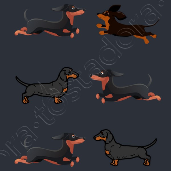 Perros tejoneso salchicha