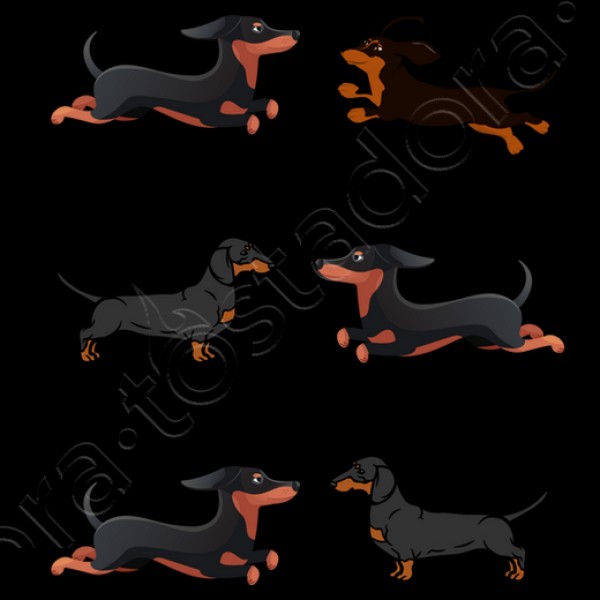 Perros tejoneso salchicha