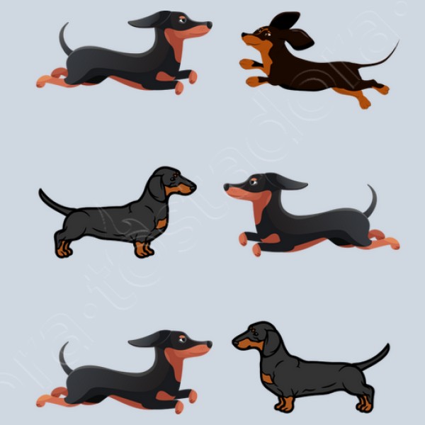 Perros tejoneso salchicha