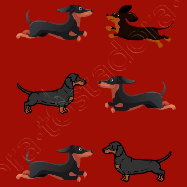 Perros tejoneso salchicha