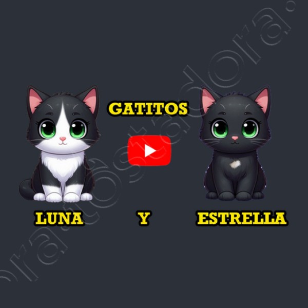 Jersey manga larga con capucha de gatitos Luna y Estrella Kawaii niu00f1os gris