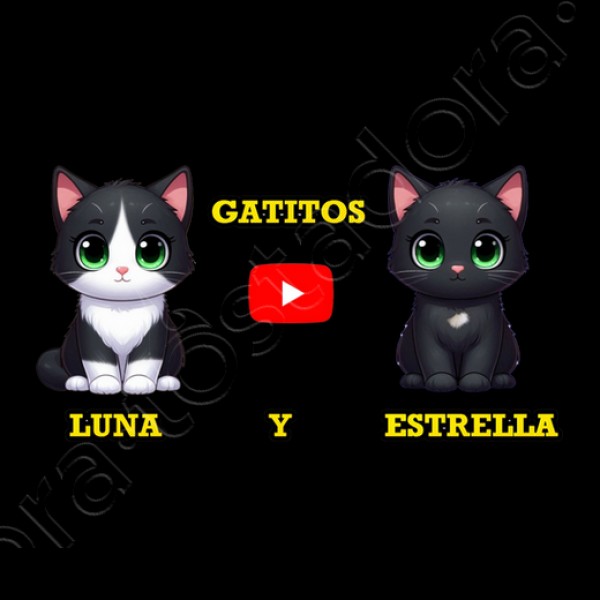 Jersey manga larga con capucha de gatitos Luna y Estrella Kawaii niu00f1os gris
