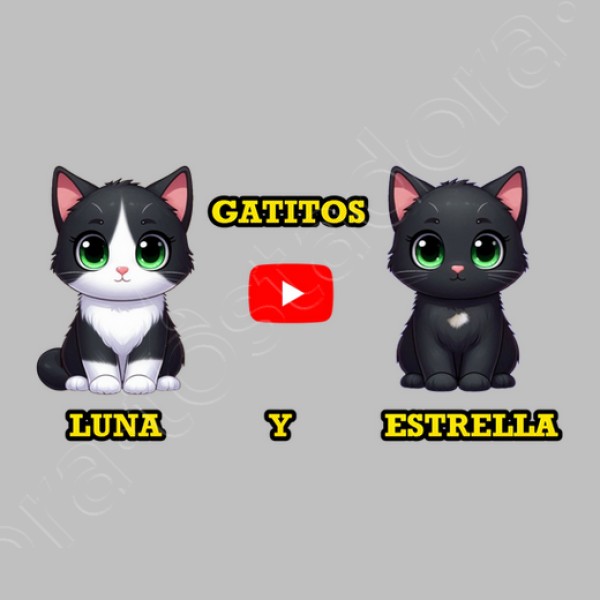 Jersey manga larga con capucha de gatitos Luna y Estrella Kawaii niu00f1os gris