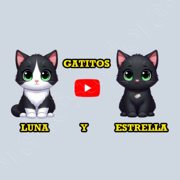 Jersey manga larga con capucha de gatitos Luna y Estrella Kawaii niu00f1os gris