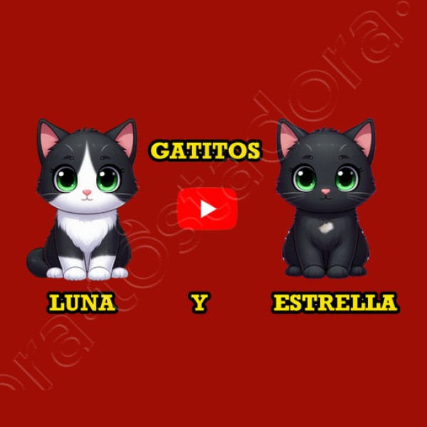 Jersey manga larga con capucha de gatitos Luna y Estrella Kawaii niu00f1os gris