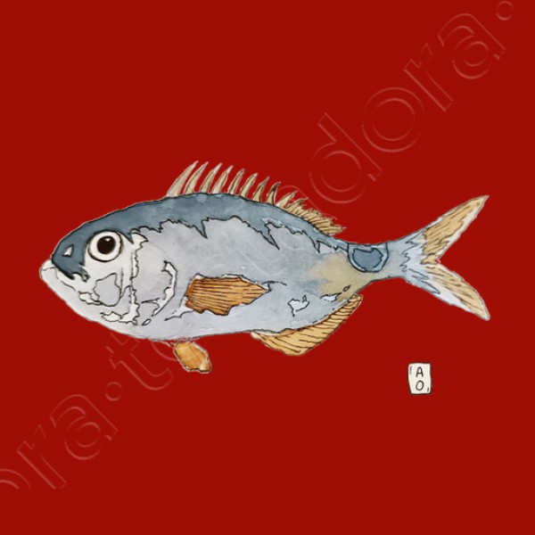 Oblada
