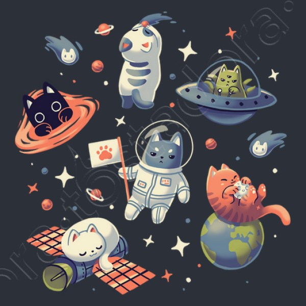 Gatos en el Espacio