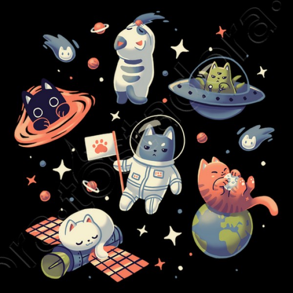 Gatos en el Espacio