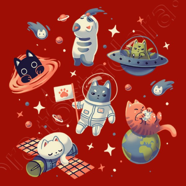 Gatos en el Espacio