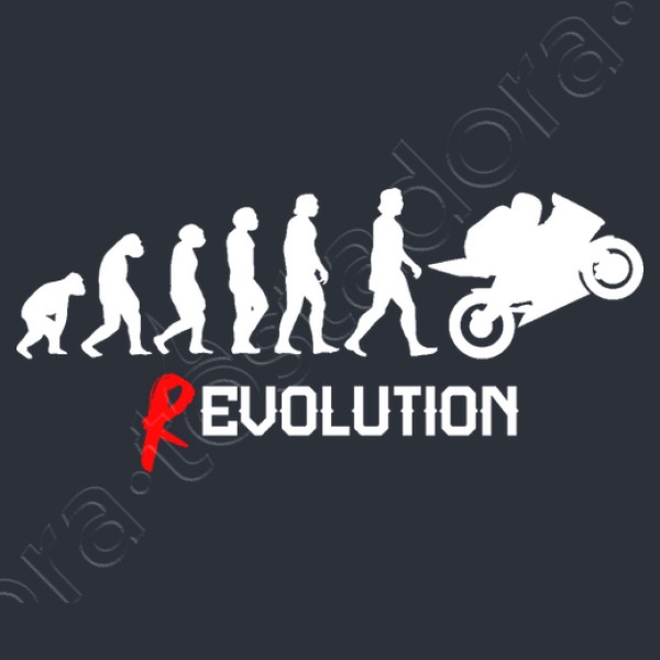 Evoluciu00f3n