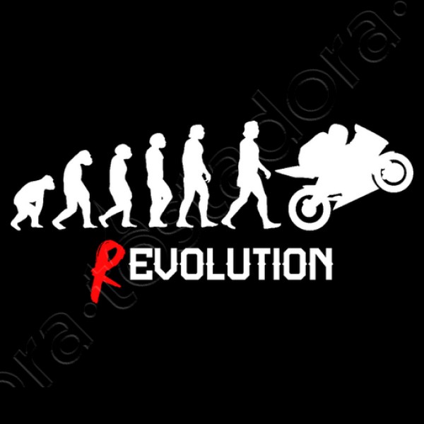 Evoluciu00f3n