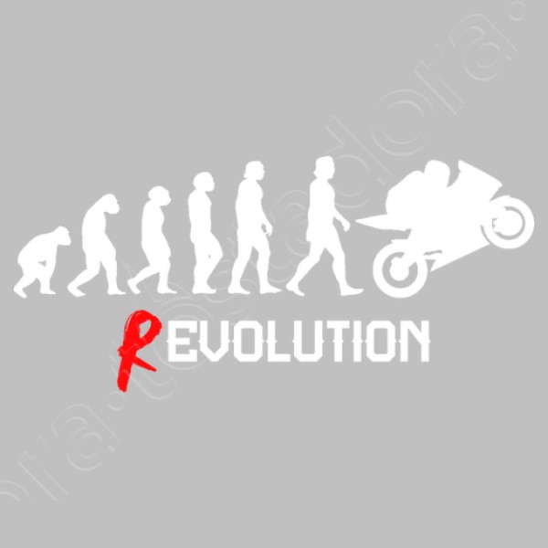 Evoluciu00f3n