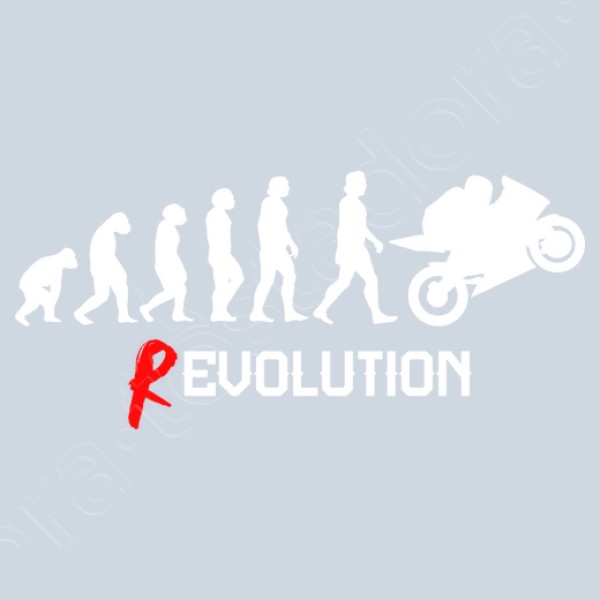 Evoluciu00f3n