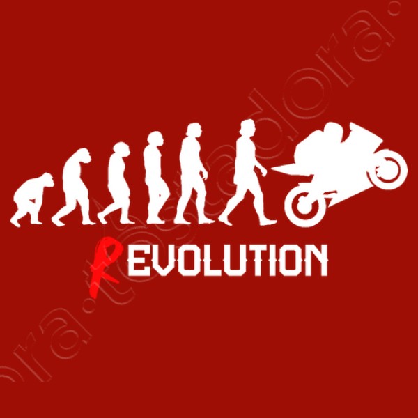 Evoluciu00f3n