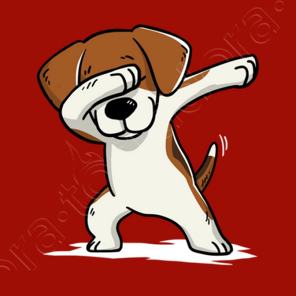 Perro Beagle DAB!