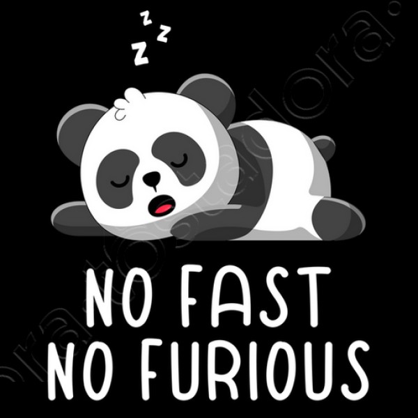 no ru00e1pido no furioso vago vago