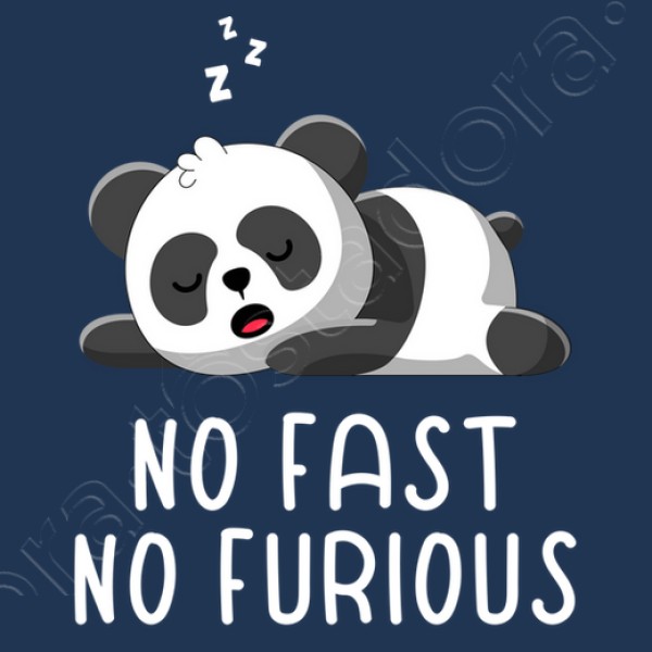 no ru00e1pido no furioso vago vago