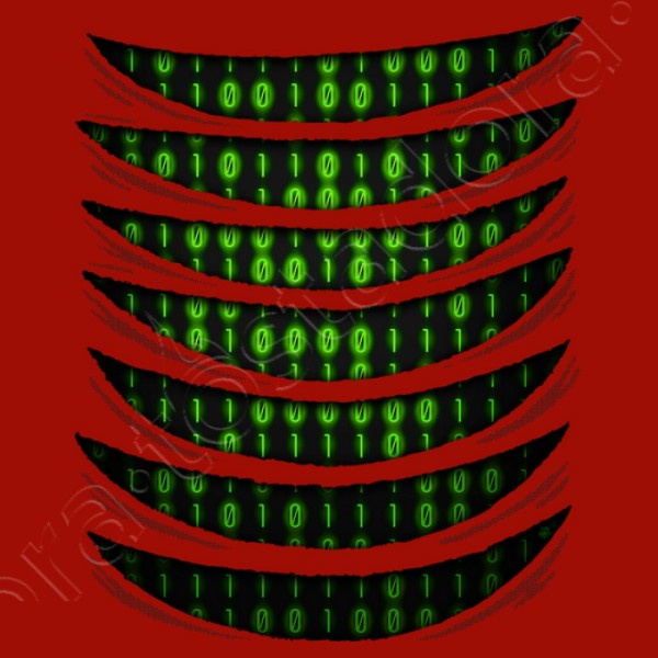 Binary Code Inside