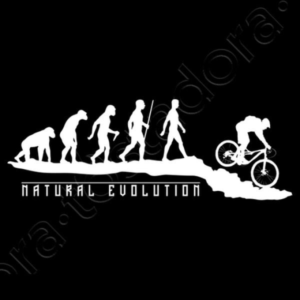 Natural Evolution Mountainbike