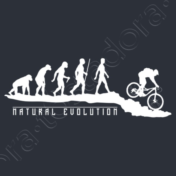 Natural Evolution Mountainbike