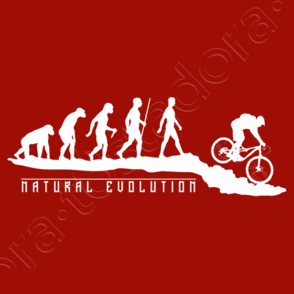 Natural Evolution Mountainbike