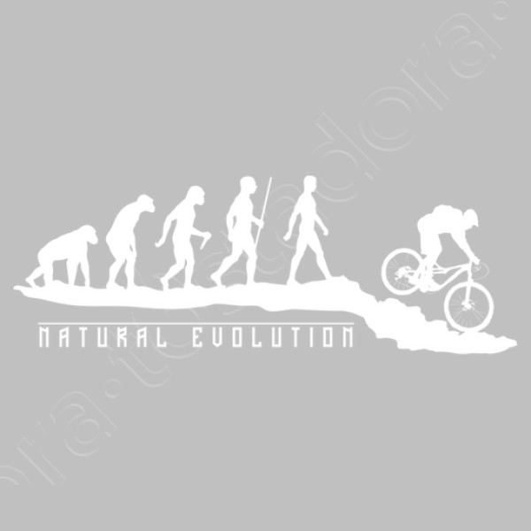 Natural Evolution Mountainbike