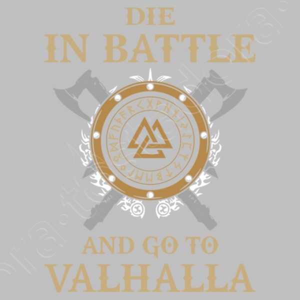 Die in Battle... (Vikings)