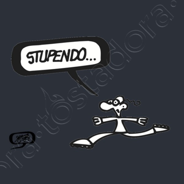 Sudadera Stupendo