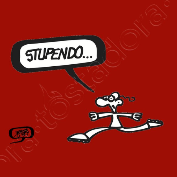 Sudadera Stupendo