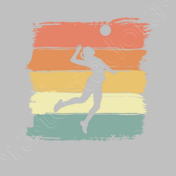 voleibol retro vintage para voleibol