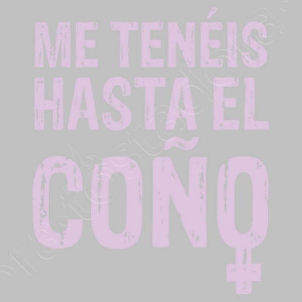 ME TENu00c9IS HASTA EL COu00d1O
